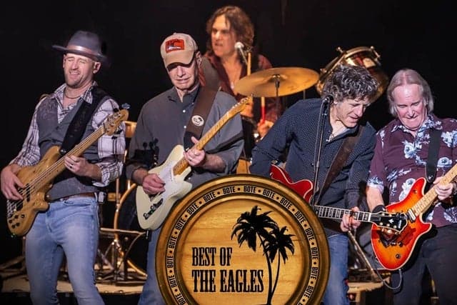 The Eagles live in concert